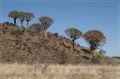 namibia_2010_020