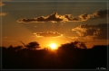 namibia_2010_529