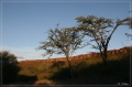 namibia_2010_554