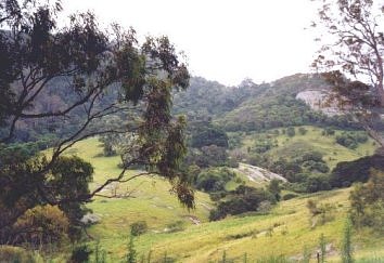 Green Hills near Central Tilba