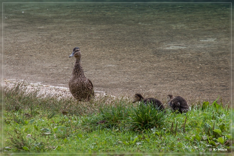 Alpen2015_055.jpg