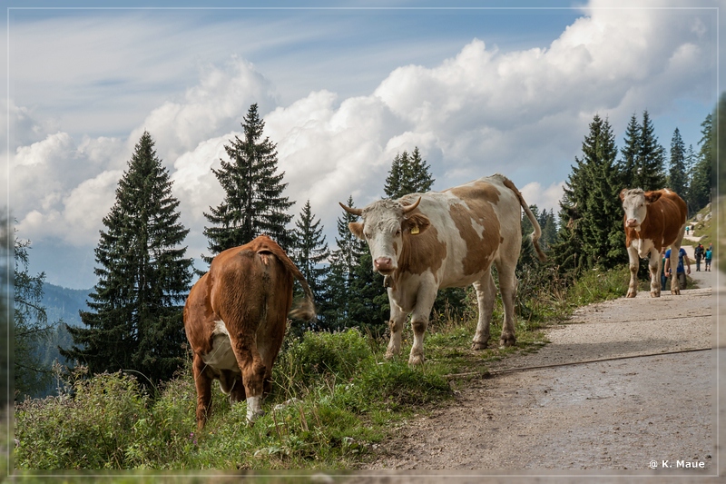 Alpen2015_161.jpg