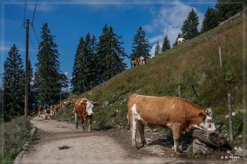 Alpen2015_163.jpg