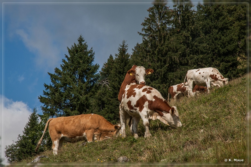 Alpen2015_164.jpg