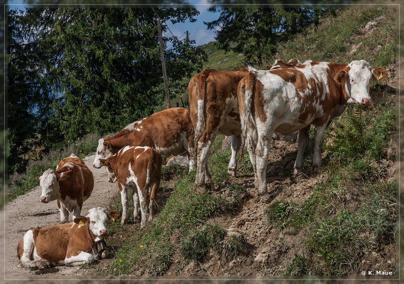 Alpen2015_165.jpg