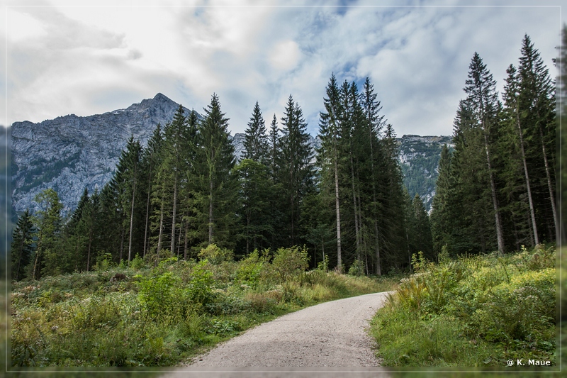 Alpen2015_178.jpg