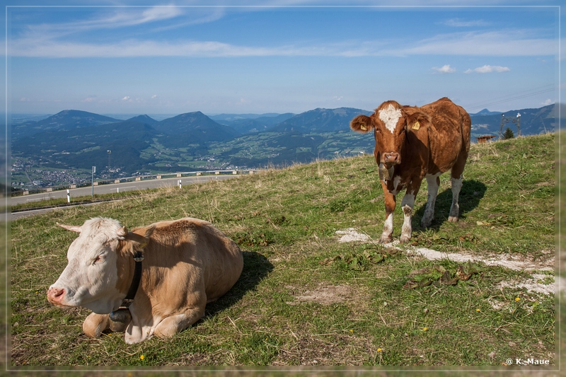 Alpen2015_214.jpg