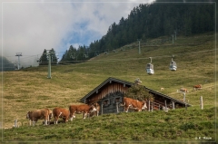 Alpen2015_170