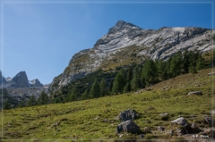 Alpen2015_230