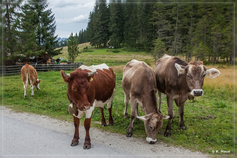 Alpen2015_396.jpg