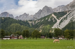 Alpen2015_387