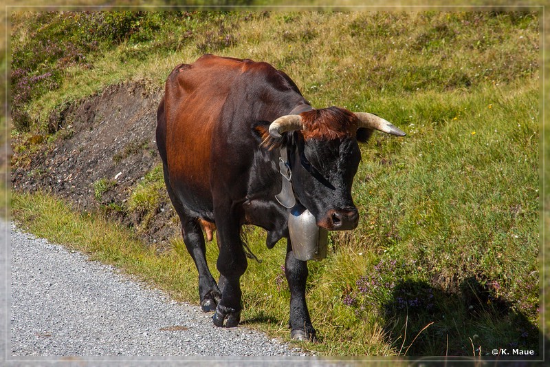 alpen2016_0064.jpg