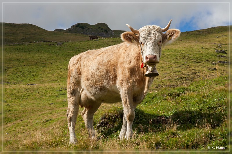 alpen2016_0080.jpg