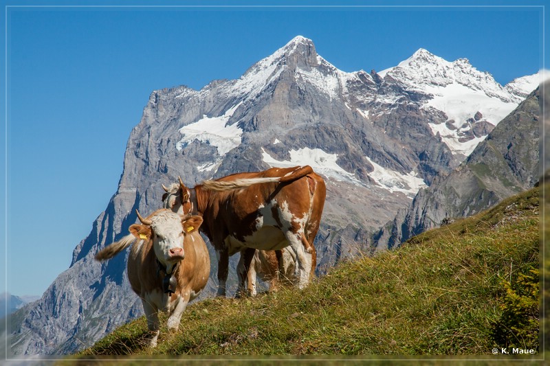 alpen2016_0103.jpg