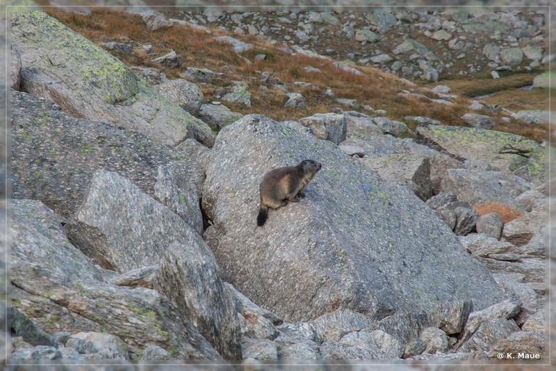 alpen2016_0272.jpg