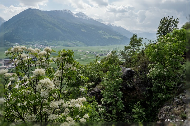 Alpen_2018_027.jpg