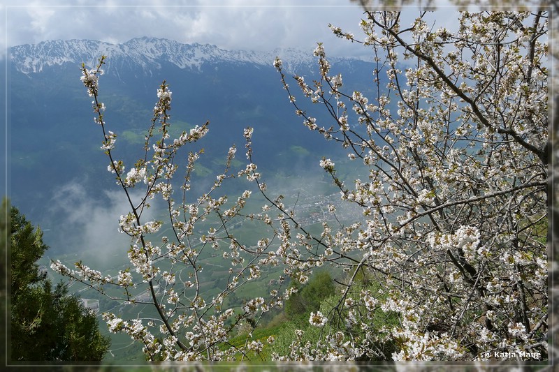 Alpen_2018_032.jpg