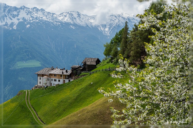 Alpen_2018_037.jpg