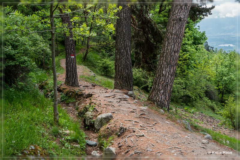 Alpen_2018_065.jpg