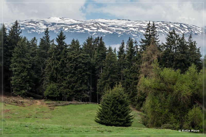 Alpen_2018_071.jpg