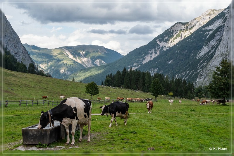 Alpen_2019_043.jpg