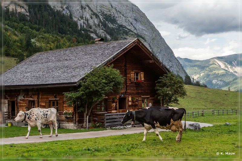 Alpen_2019_044.jpg