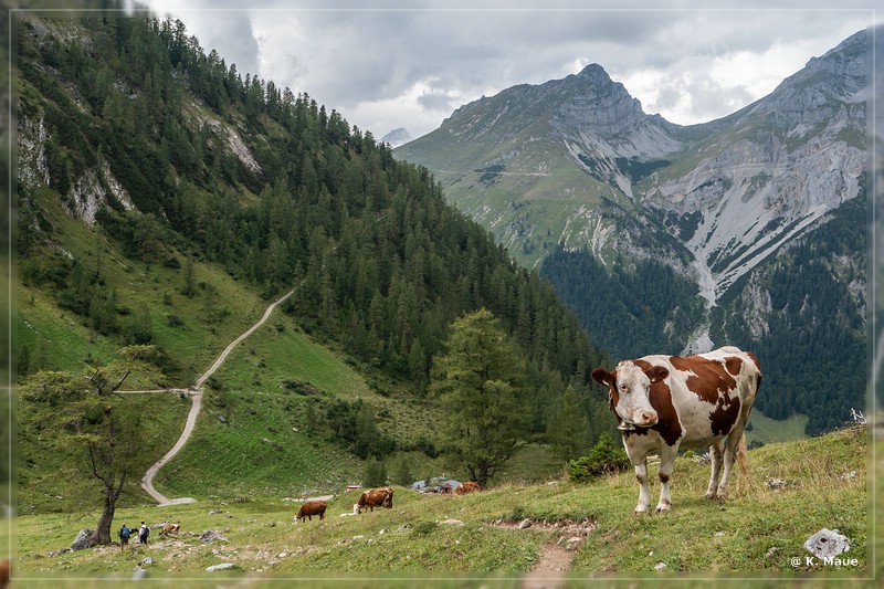 Alpen_2019_053.jpg