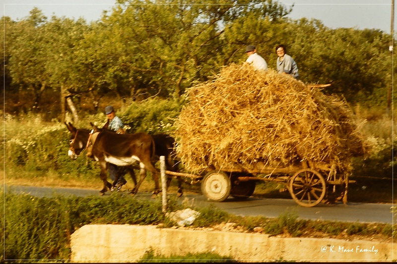 Austria+Jugoslawien_1980_19.jpg