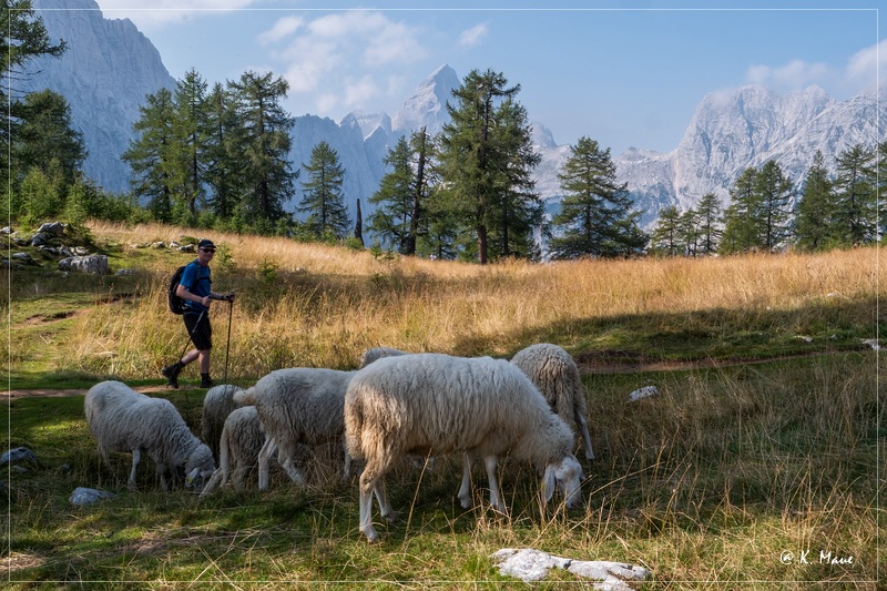 Alpen_2020_089.jpg