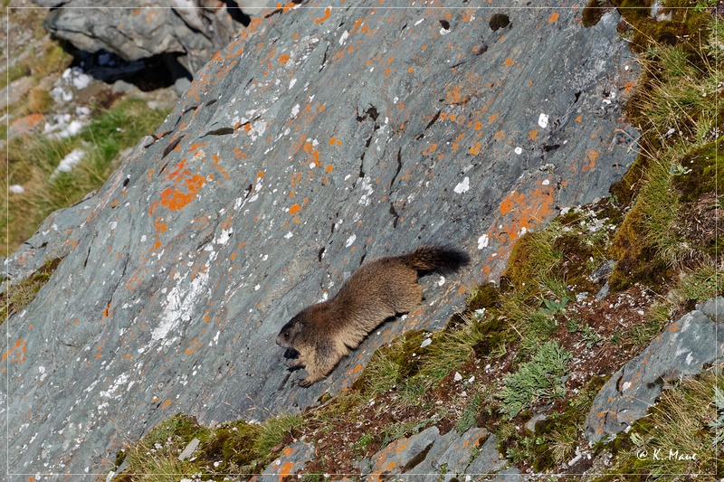 Alpen_2020_608.jpg