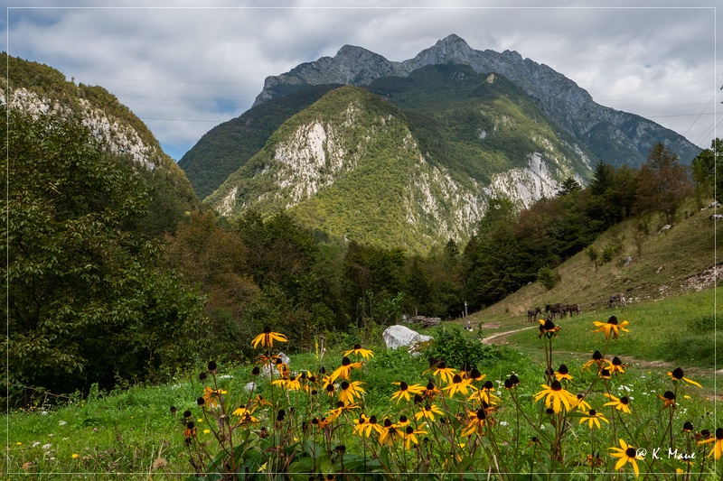 Alpen_2020_211.jpg