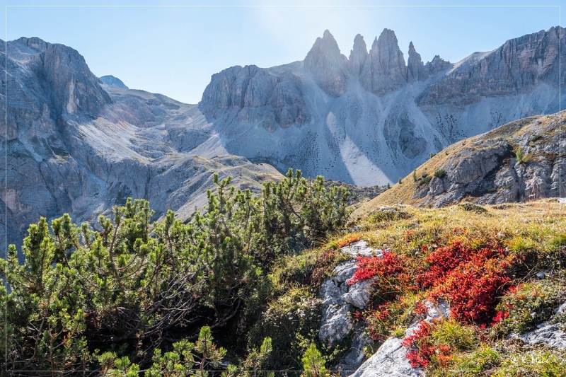 Alpen+Italien_2021_492.jpg