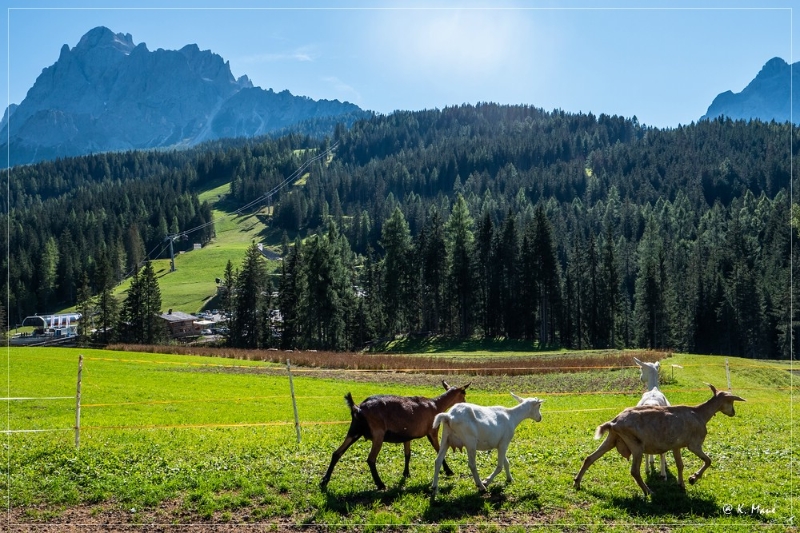 Alpen+Italien_2021_551.jpg