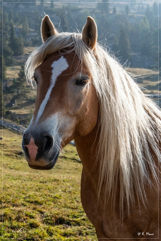 Alpen+Italien_2021_567.jpg