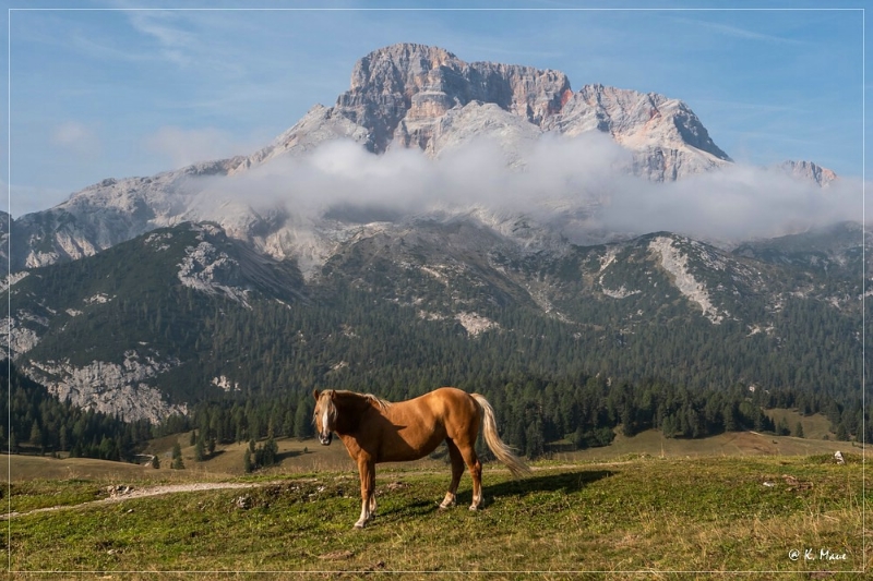 Alpen+Italien_2021_568.jpg