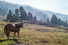 Alpen+Italien_2021_562