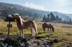 Alpen+Italien_2021_563