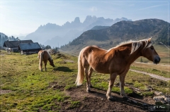 Alpen+Italien_2021_566