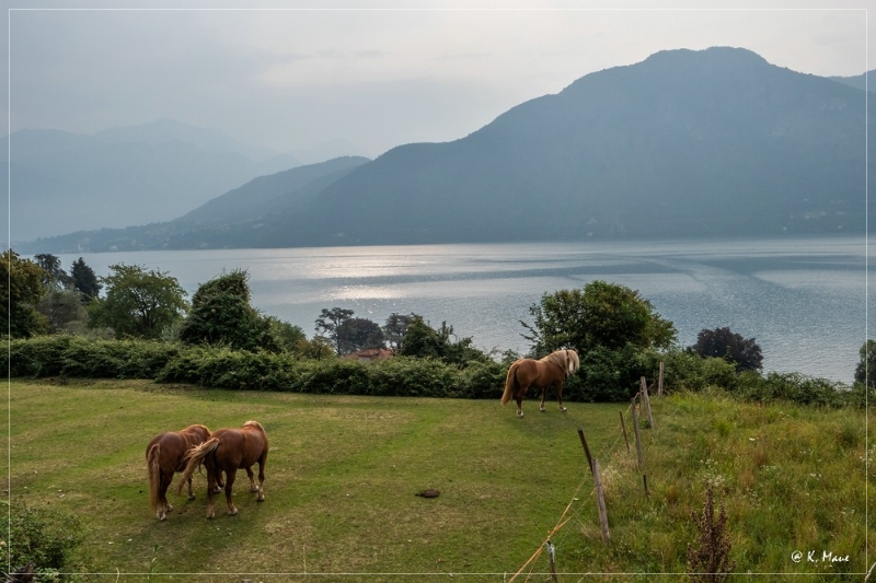 Alpen+Italien_2021_090.jpg