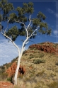 austr2011_028