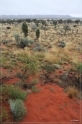 austr2011_097