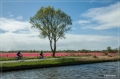 Holland_2014_022