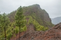 lapalma_2013_041