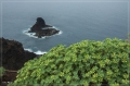 lapalma_2013_075