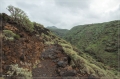 lapalma_2013_083