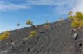 lapalma_2013_211