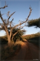 namibia_2010_553