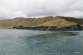 NZ2012_306