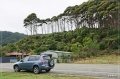 NZ2012_325