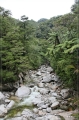 NZ2012_329